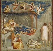 GIOTTO di Bondone Birth of Jesus Spain oil painting artist